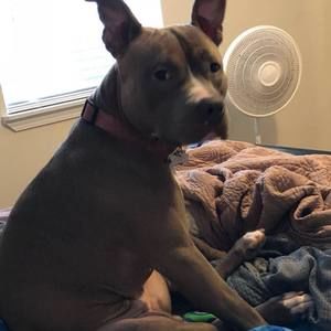 Meet your Posher, Jose angel